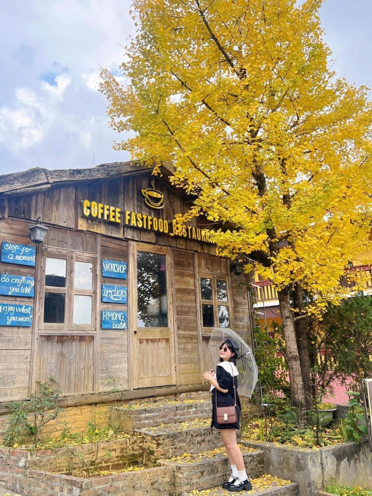 Sapa Elite Hotel Dış mekan fotoğraf