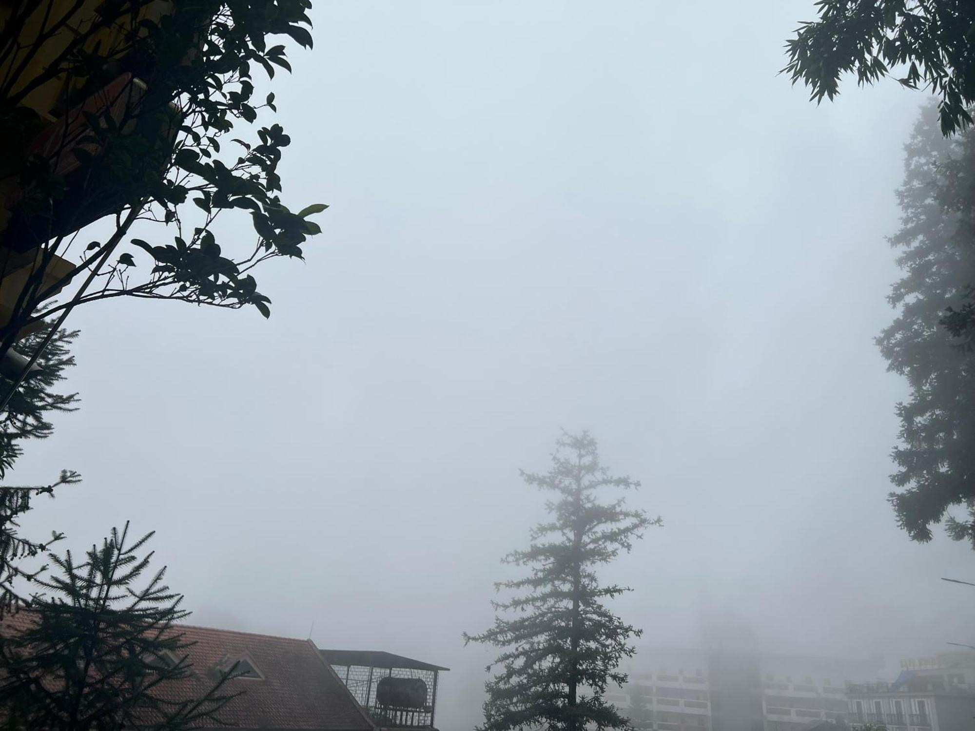Sapa Elite Hotel Dış mekan fotoğraf